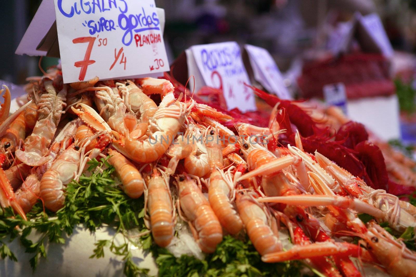 Mediterranean seafood in the market on ice