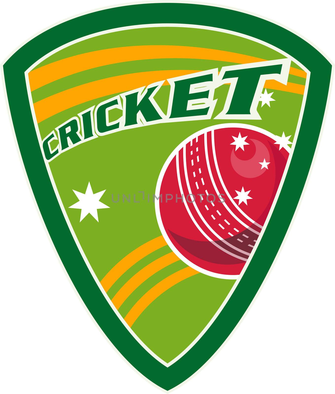 cricket sports ball shield stars by patrimonio