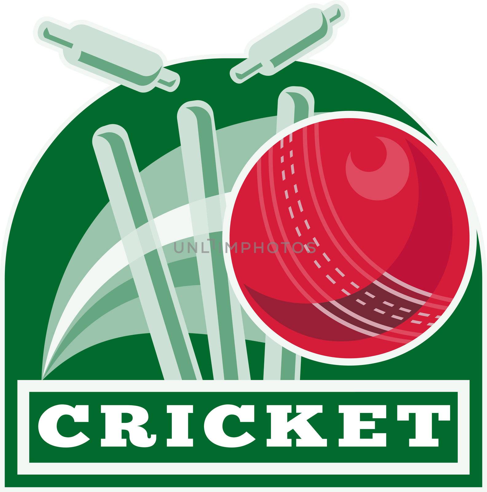 cricket sports ball wicket by patrimonio
