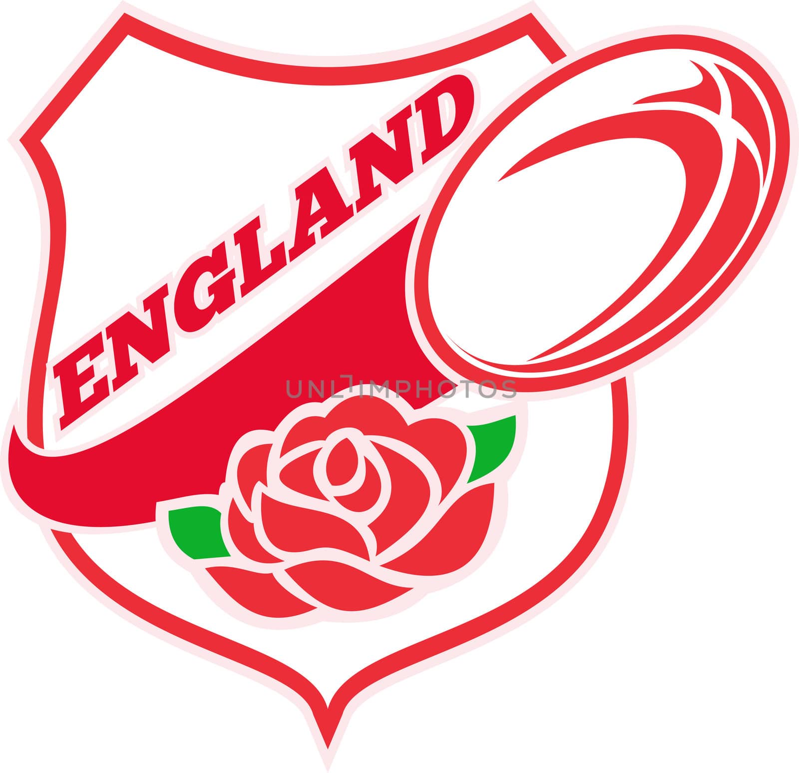 Illustration of a red English rose inside shield with rugby ball flying out and words "England"