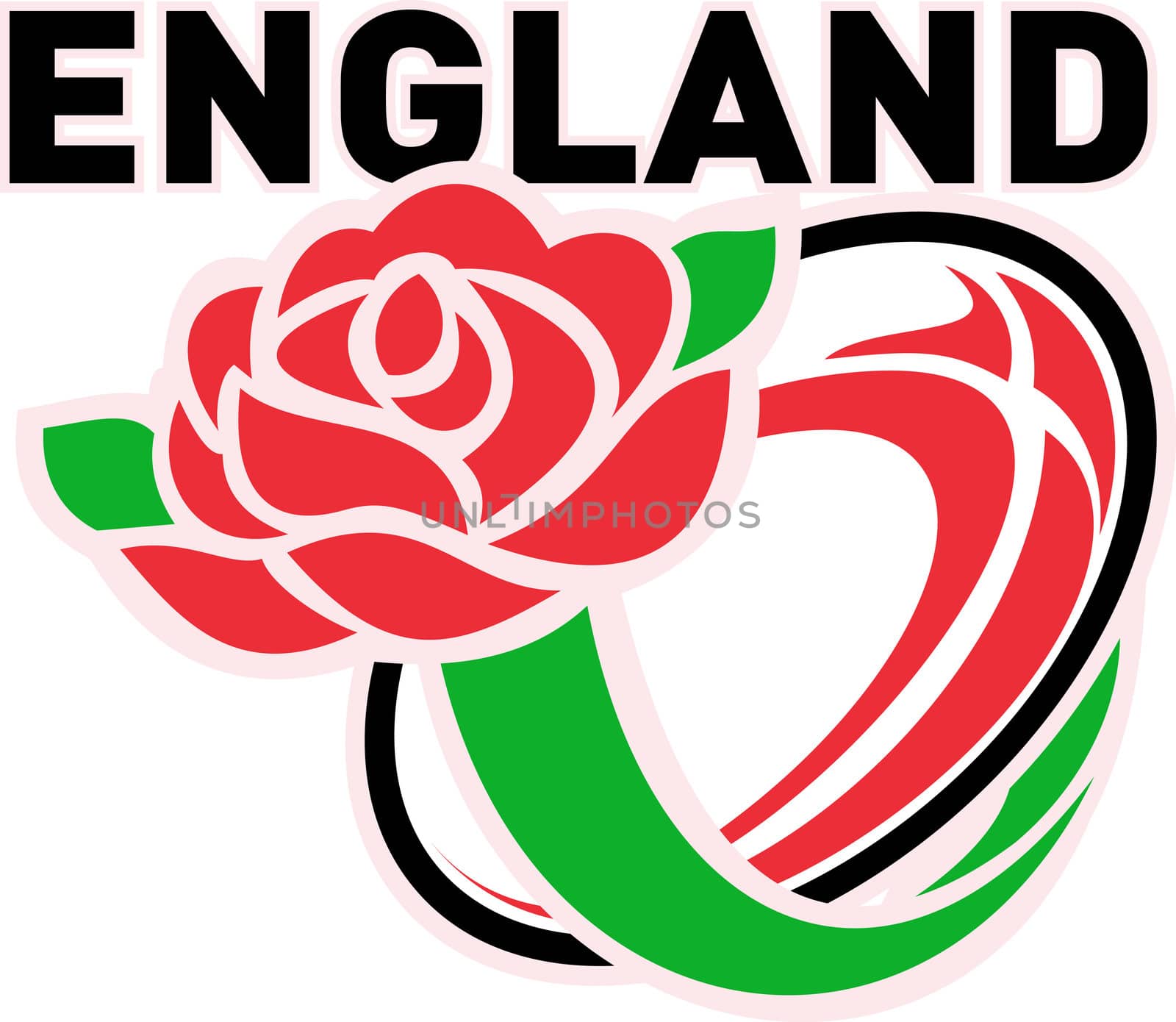 Illustration of a red English rose with rugby ball flying out and words "England"