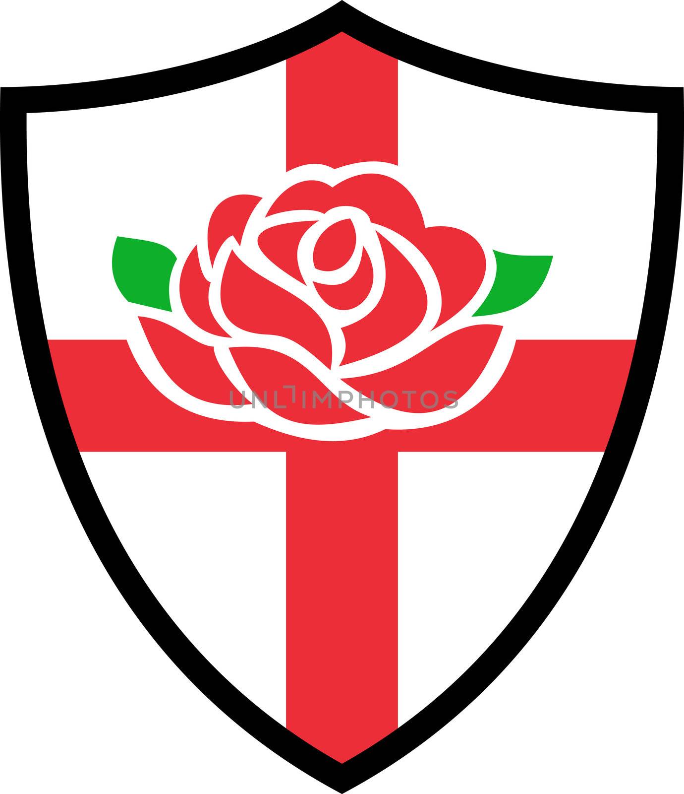 Illustration of a red English rose with flag of England inside shield