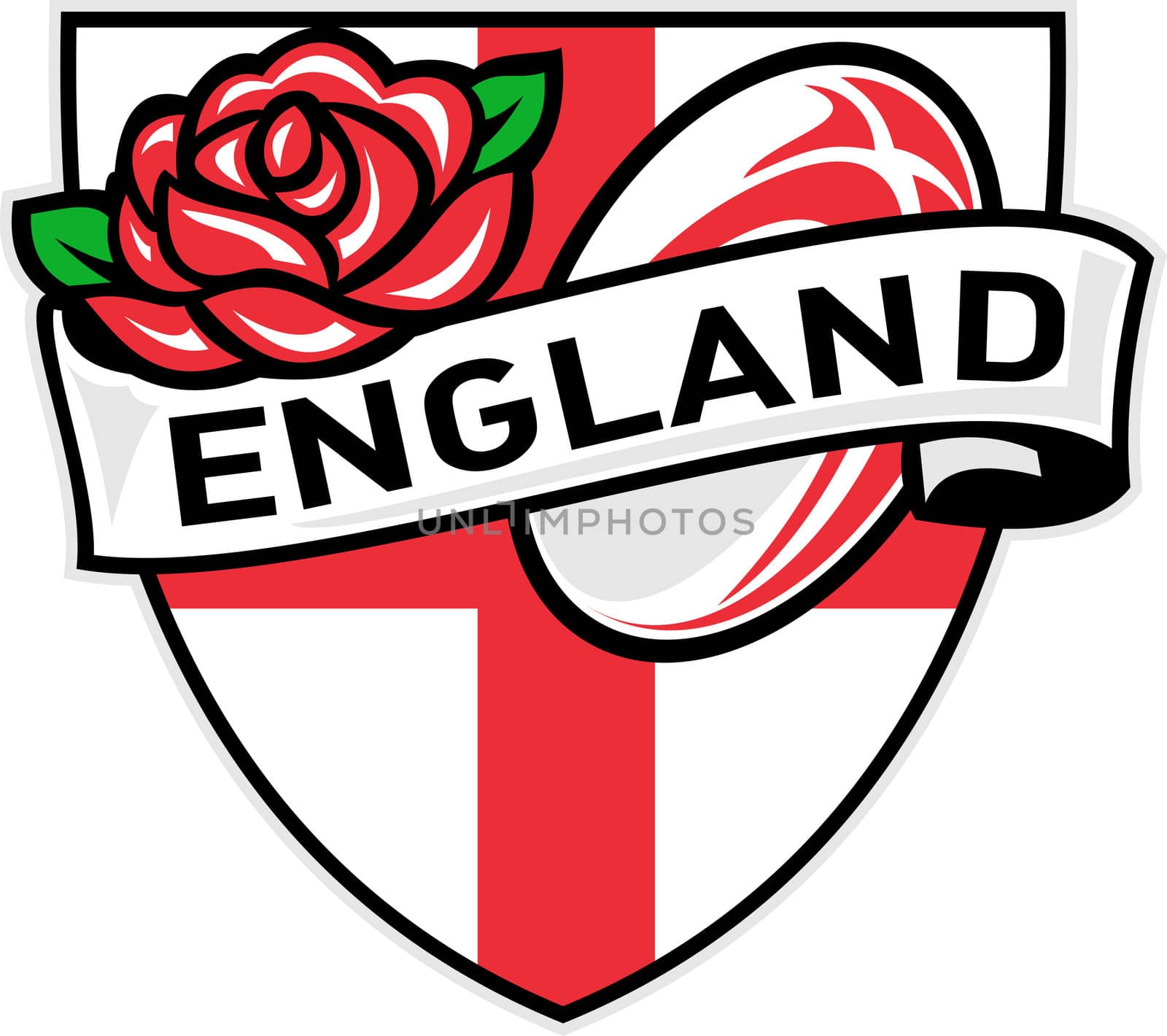 Illustration of a red English rose inside flag shield with rugby ball flying out and words "England"