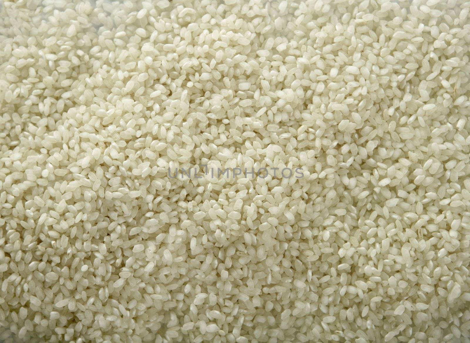 White rice close up texture. Background pattern by lunamarina