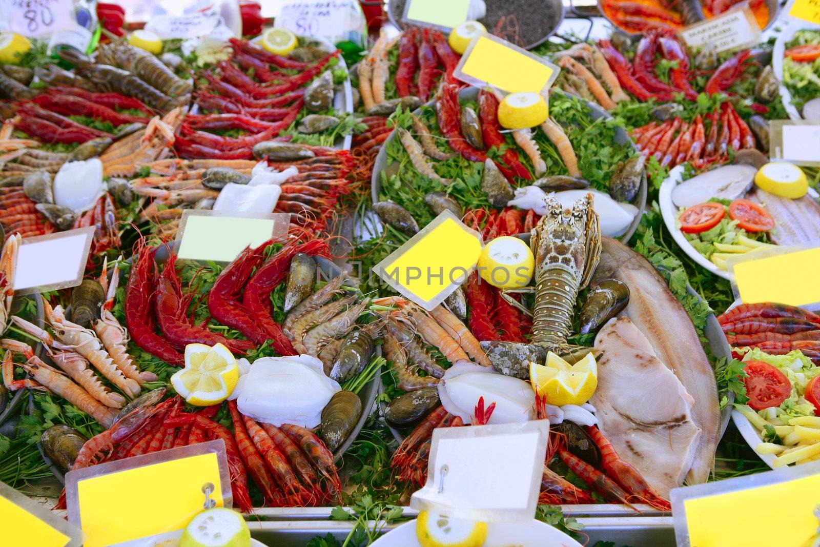 Prepared raw seafood fish plates on Mediterranean market
