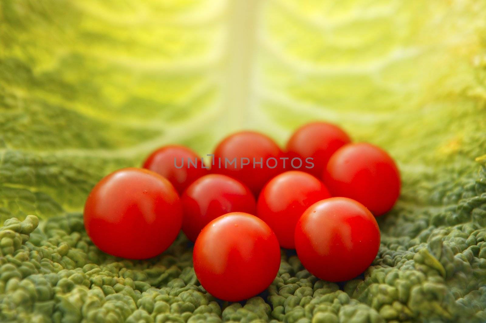 Raw vegetables still with cherry tomatoes and cabbage leaf