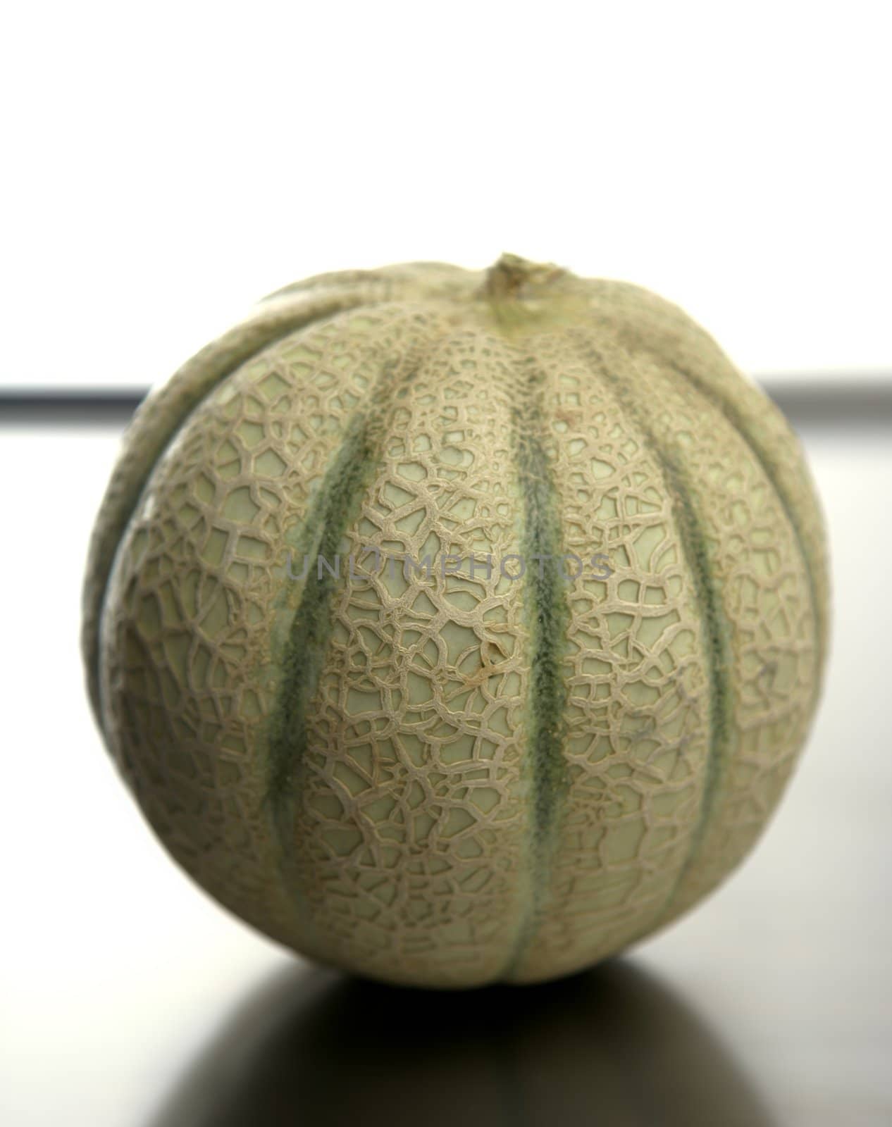 One melon fruit over a stainless steel table