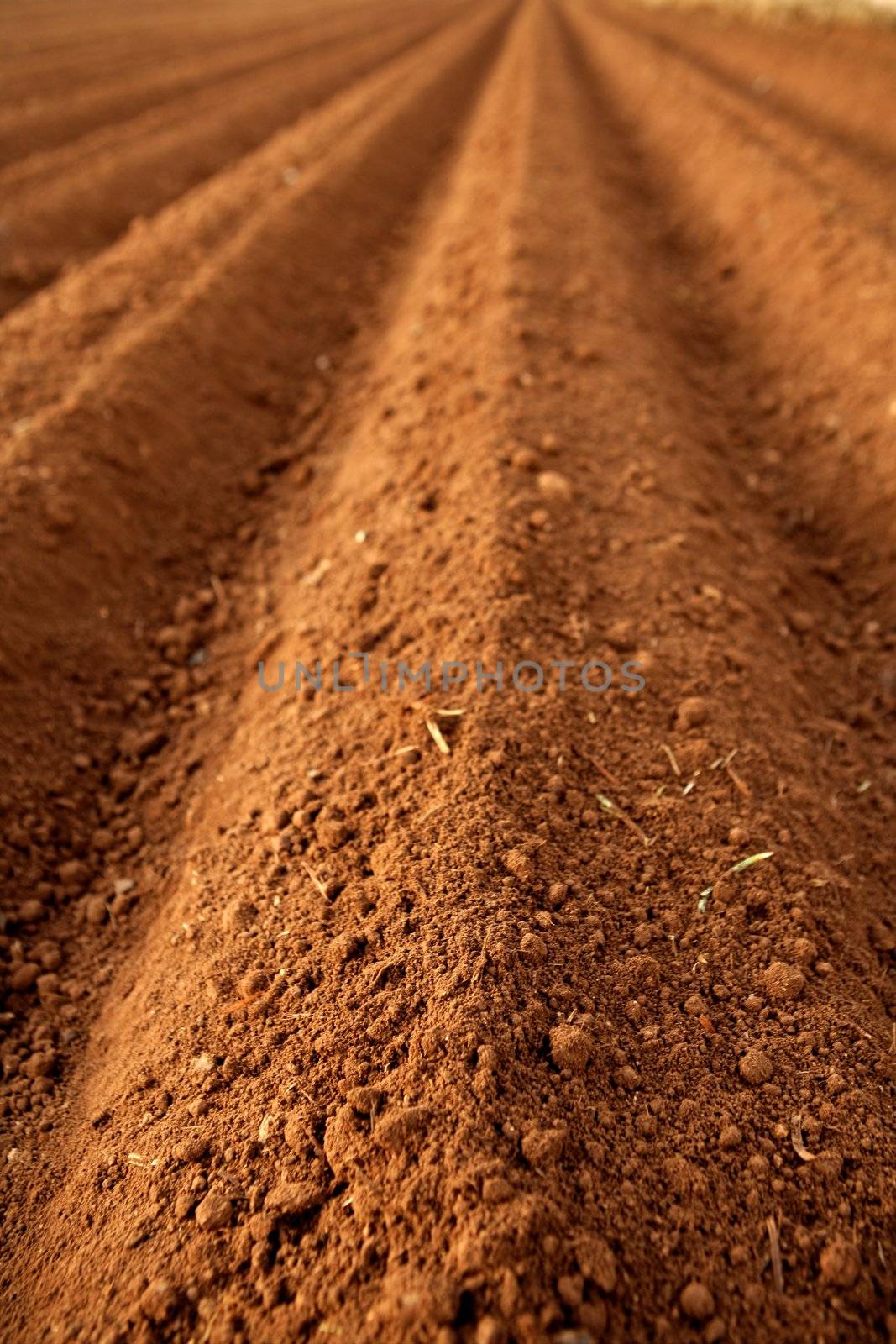 Ploughed red clay soil agriculture fields by lunamarina