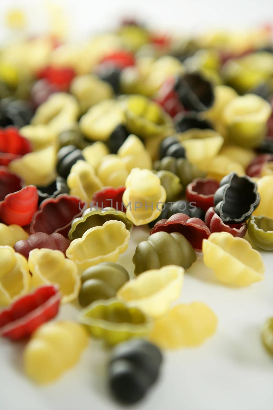 Italian pasta texture, multicolor, clam shell shape