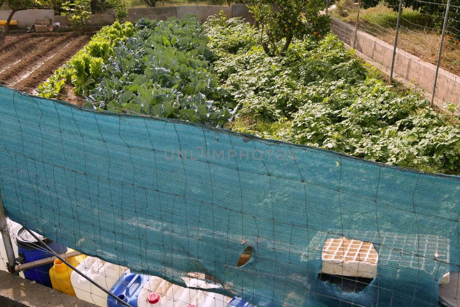 Little family field with messy fence, Mediterranean culture