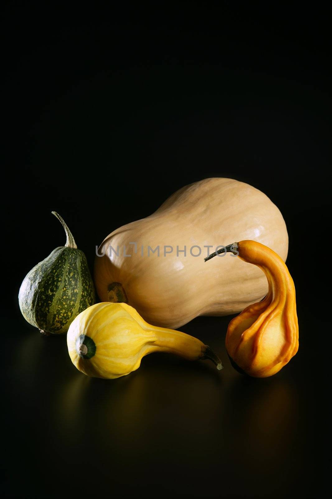 Varied colorful pumpkin still over black background