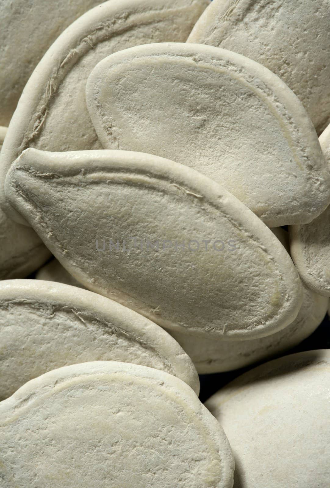 white dried pumpkin seeds in macro studio shot by lunamarina