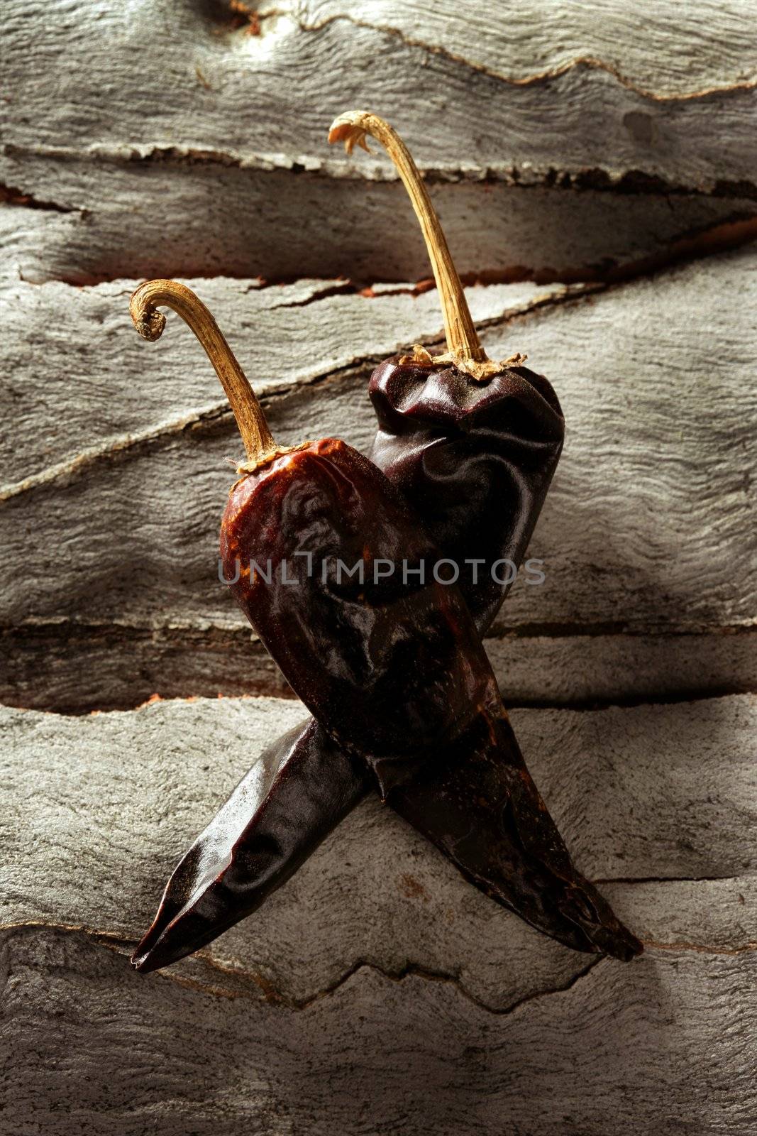 Two mexican dried chili peppers still by lunamarina