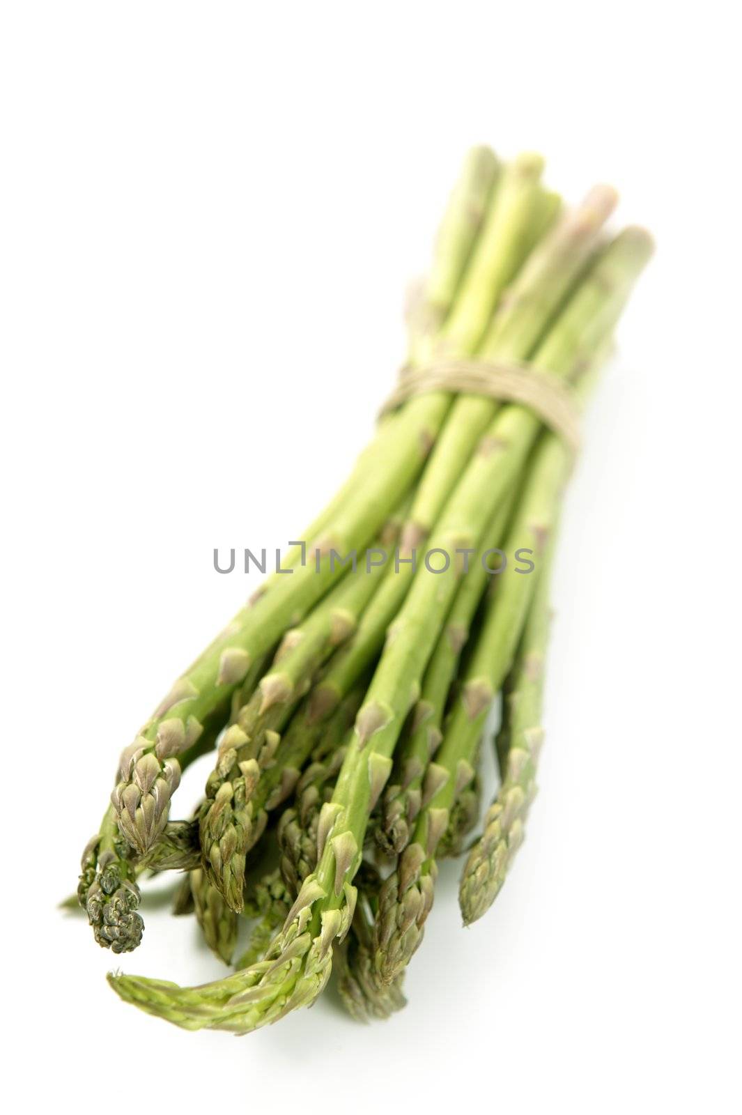 Asparagus green bunch isolated on white studio background