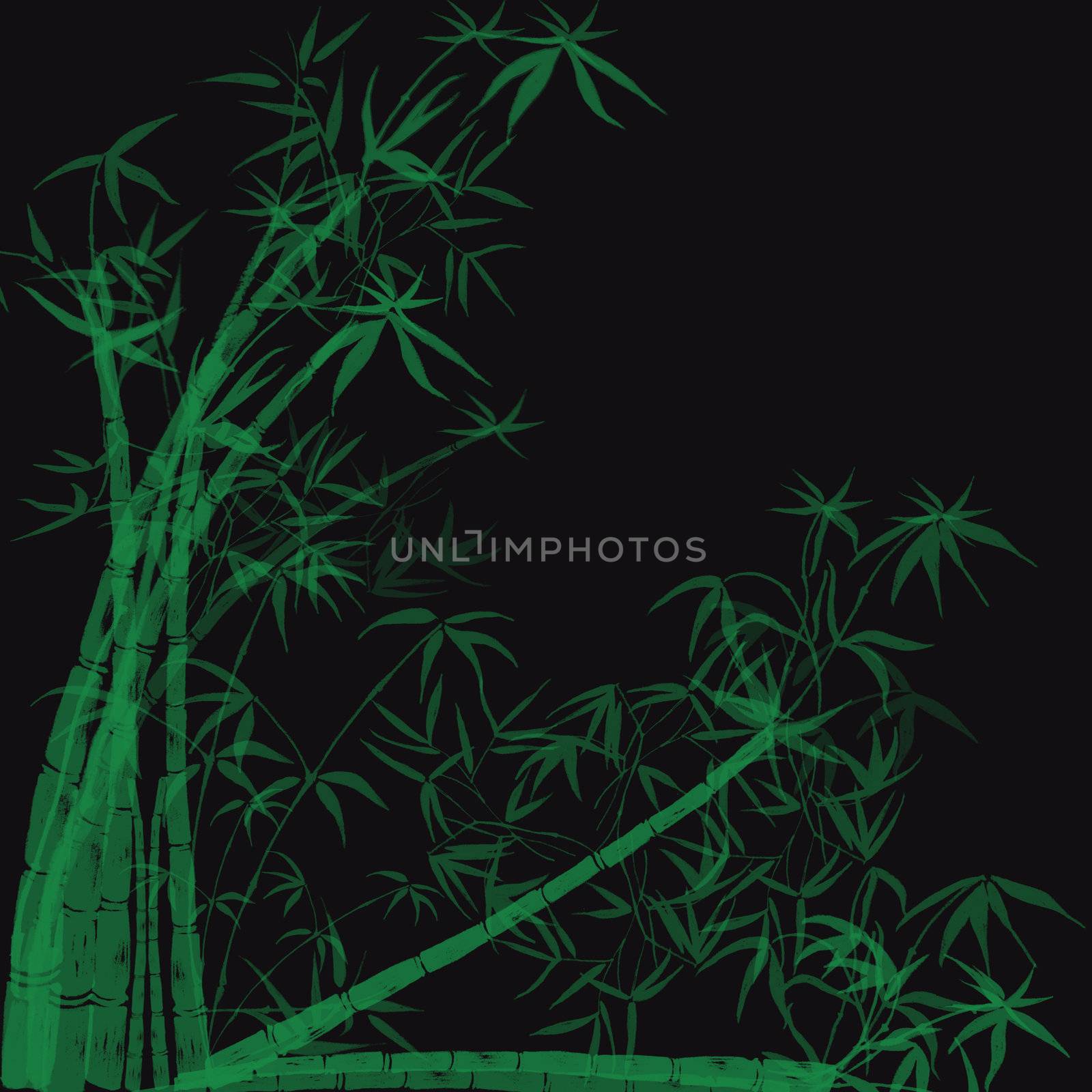 Bamboo by Imagevixen