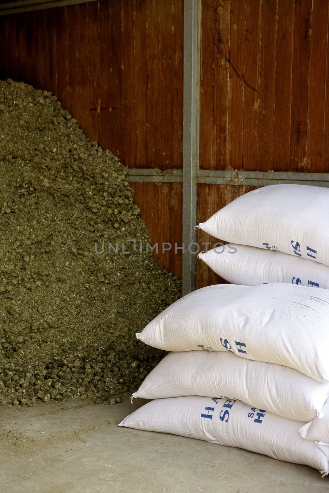 Dry alfalfa texture background , horses food, granary, barn. by lunamarina