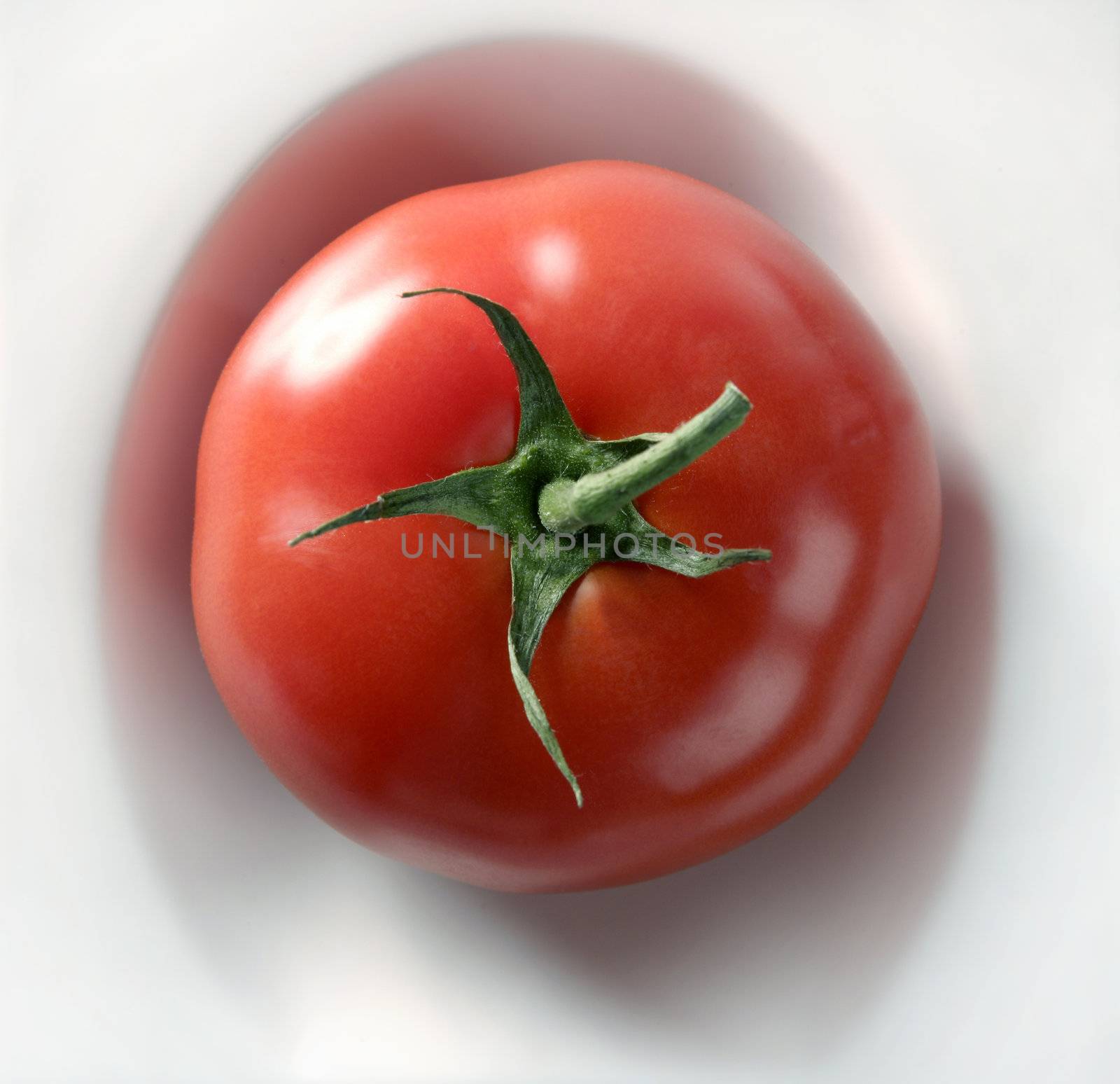 One simple red tomato in a white dish by lunamarina