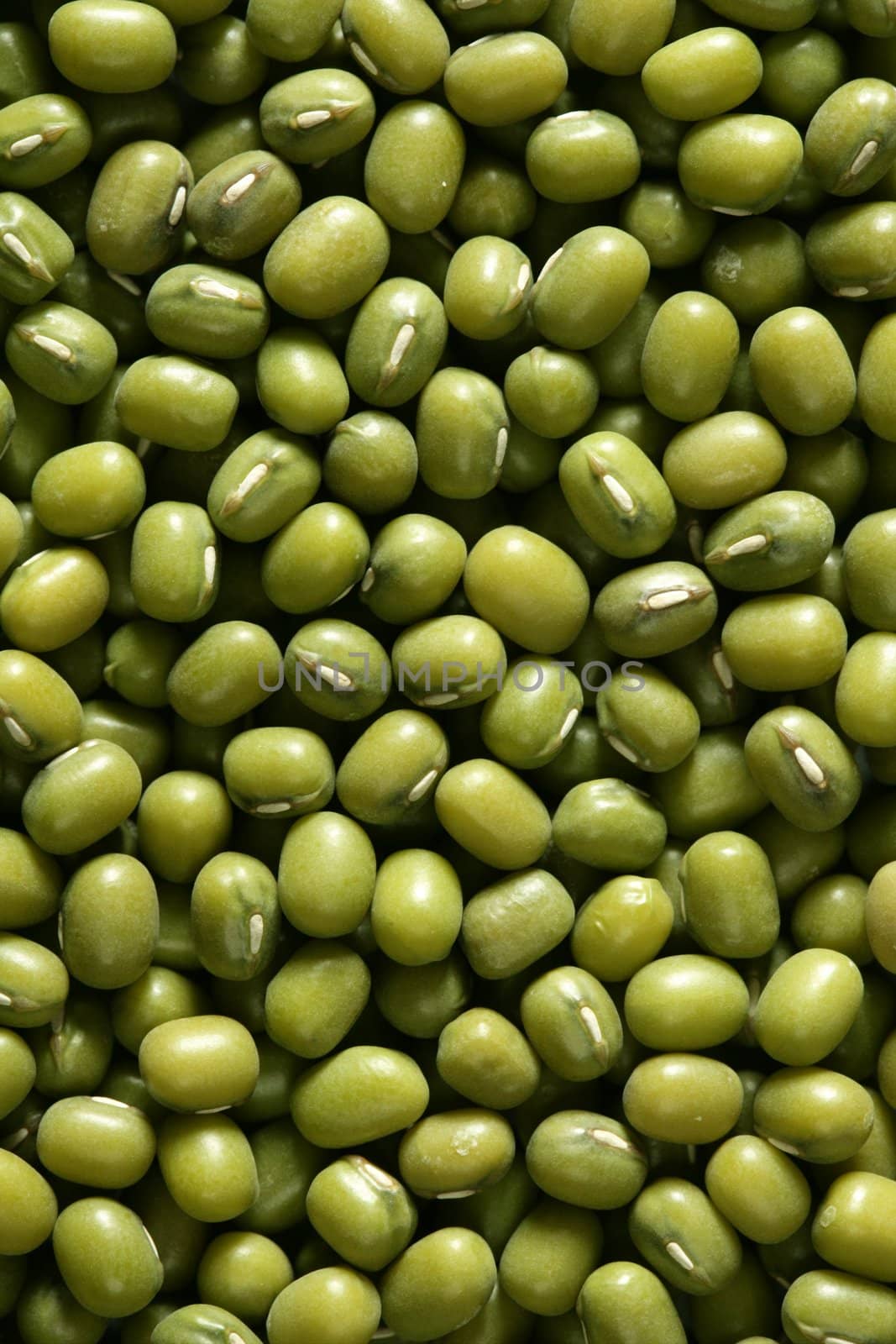 Green soya beans macro texture crop background detail