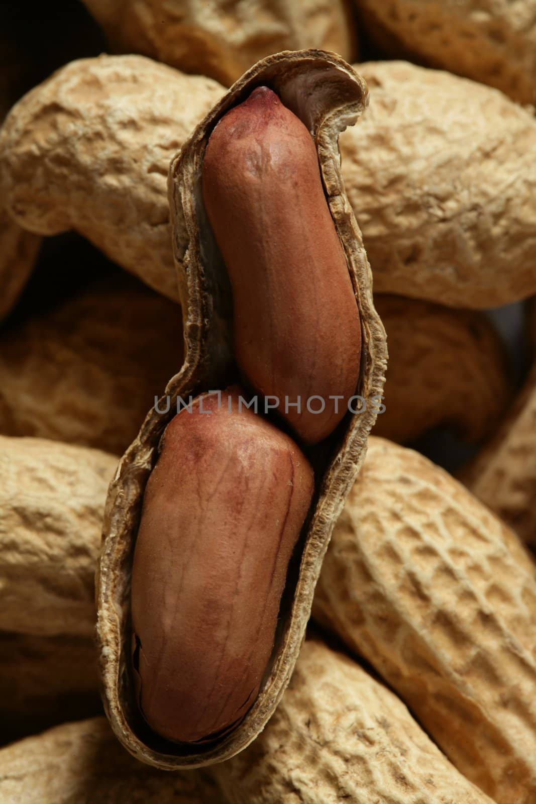 Peanuts, food macro texture background, golden light