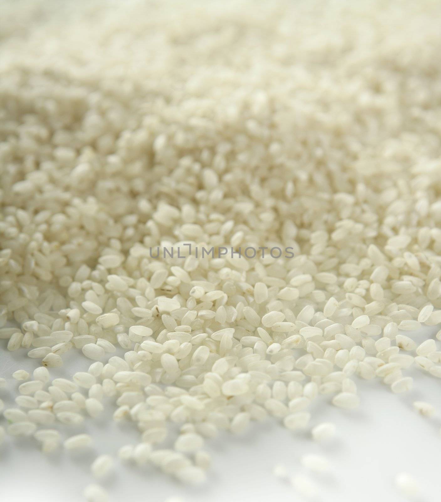 White rice close up texture. Background pattern of rice seeds from Spain