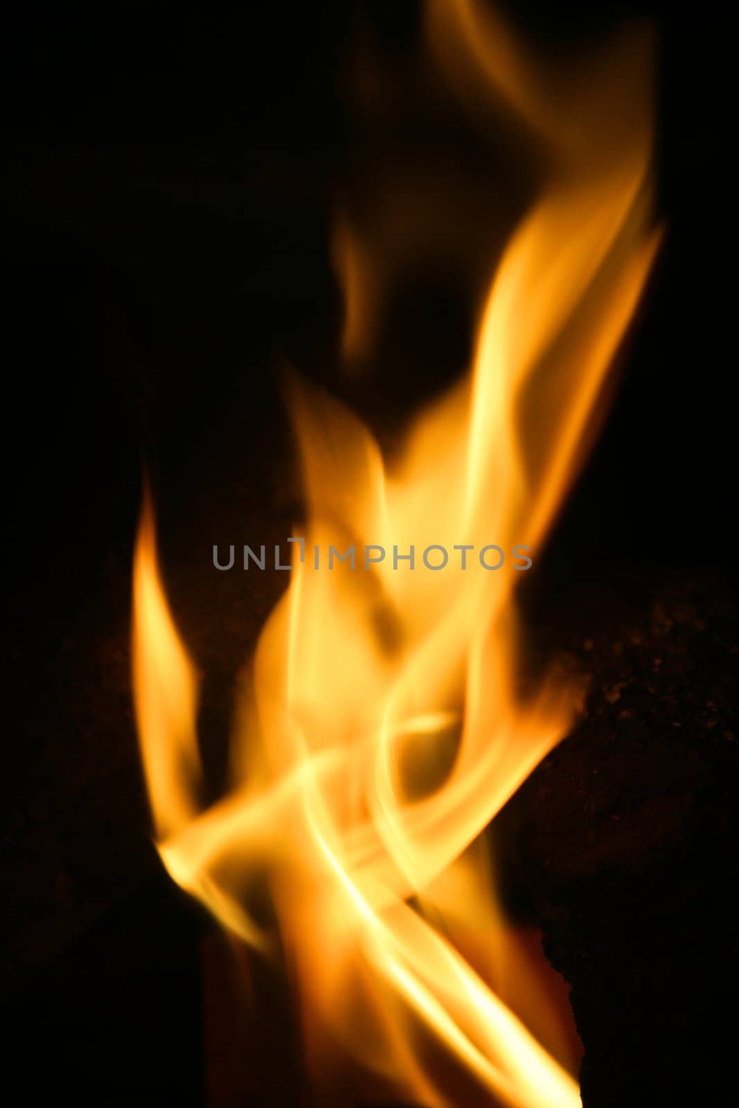 Orange fire burning flames over black background