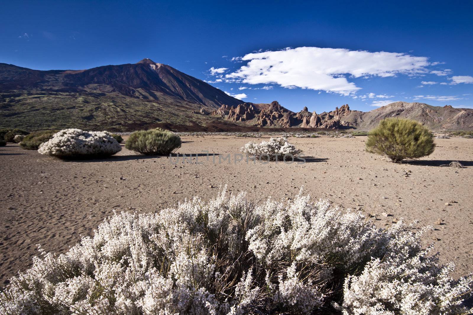 Teide - volcano landscape by kasto