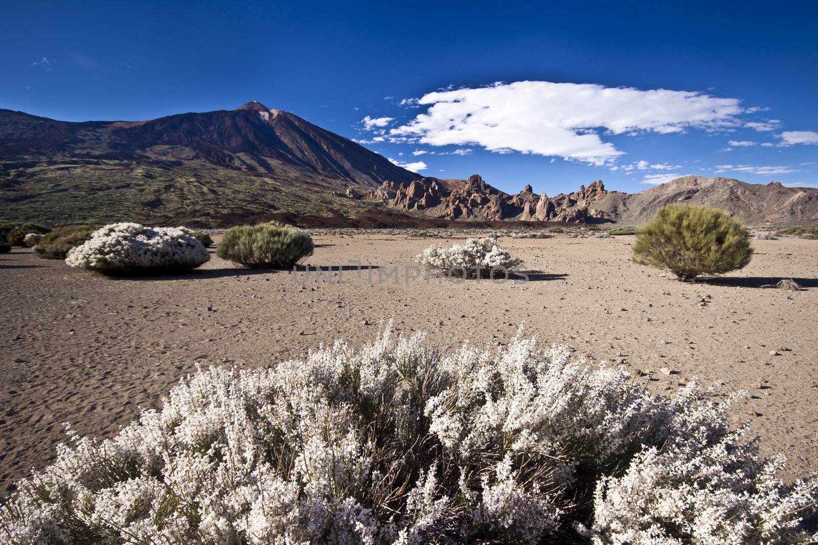 Volcano landscape at El Teide in Tenerife