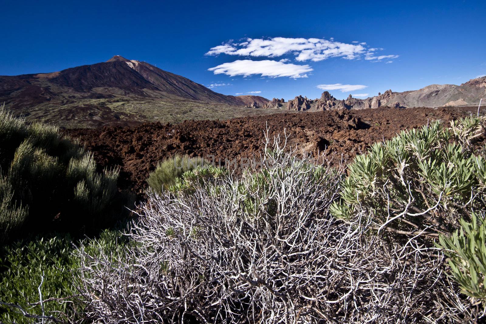 Volcano landscape at El Teide in Tenerife