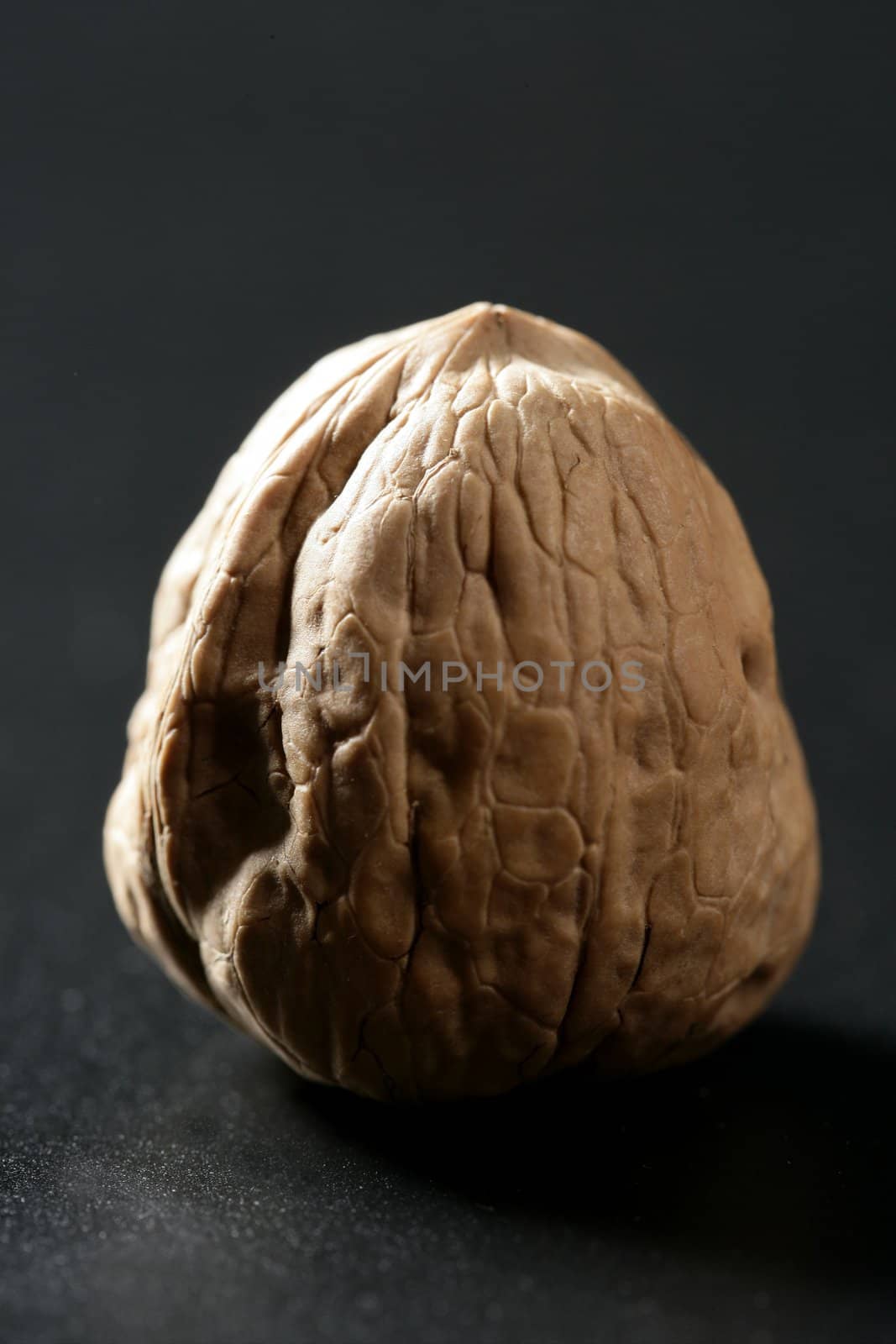 One walnut with shells over black background and shadows