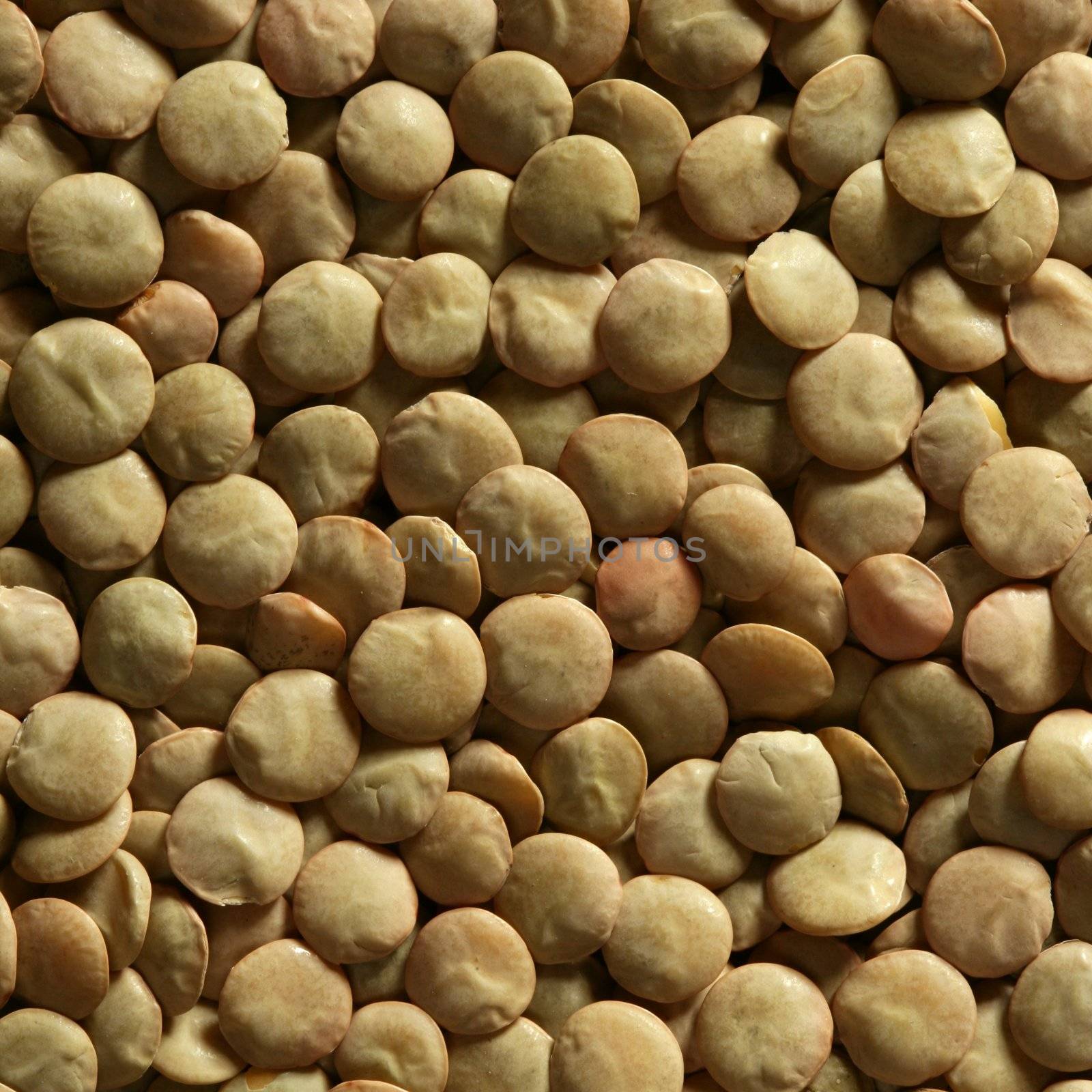 Lentils macro crop texture in brown color by lunamarina