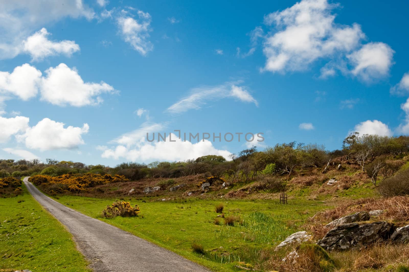 Road on the isle of Island, Scotland