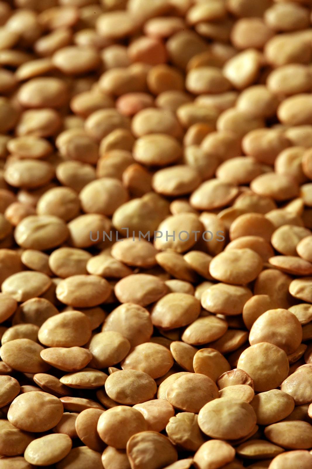 Lentils legumes, macro crop image, texture in brown color, background