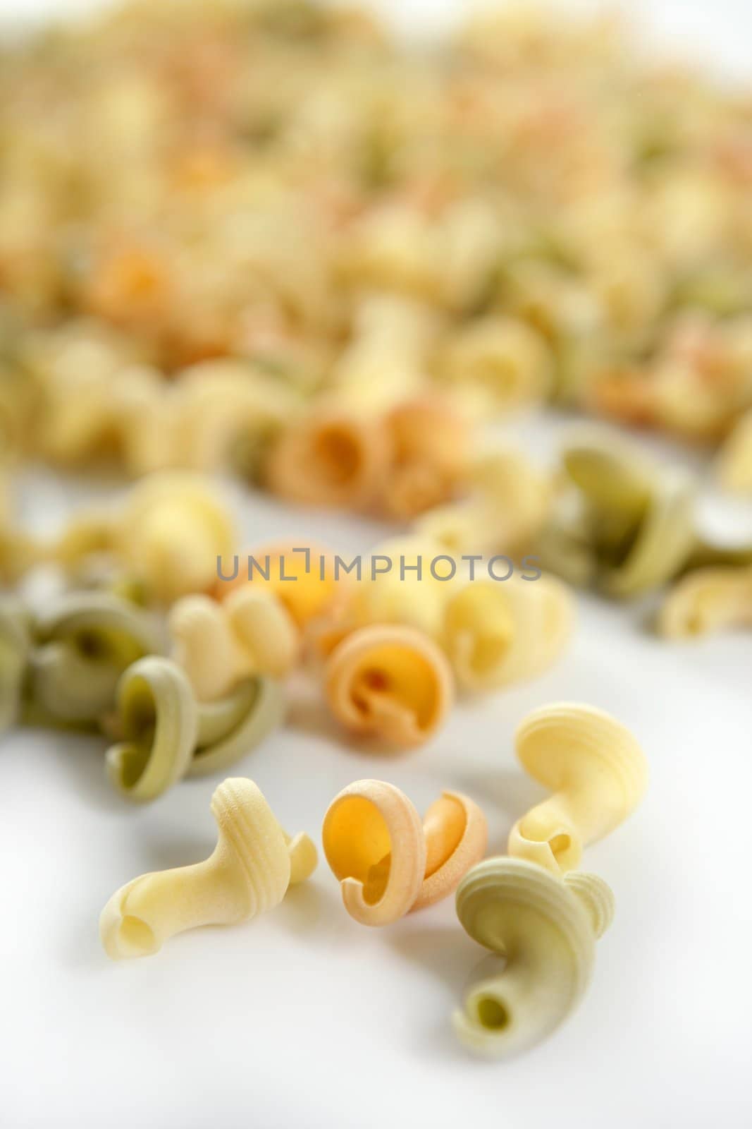Twisty snail shape, Italian multicolor pasta texture