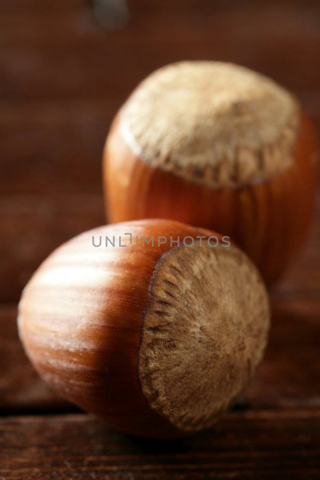 Delicious hazelnuts, macro detail, warm golden light, studio shot