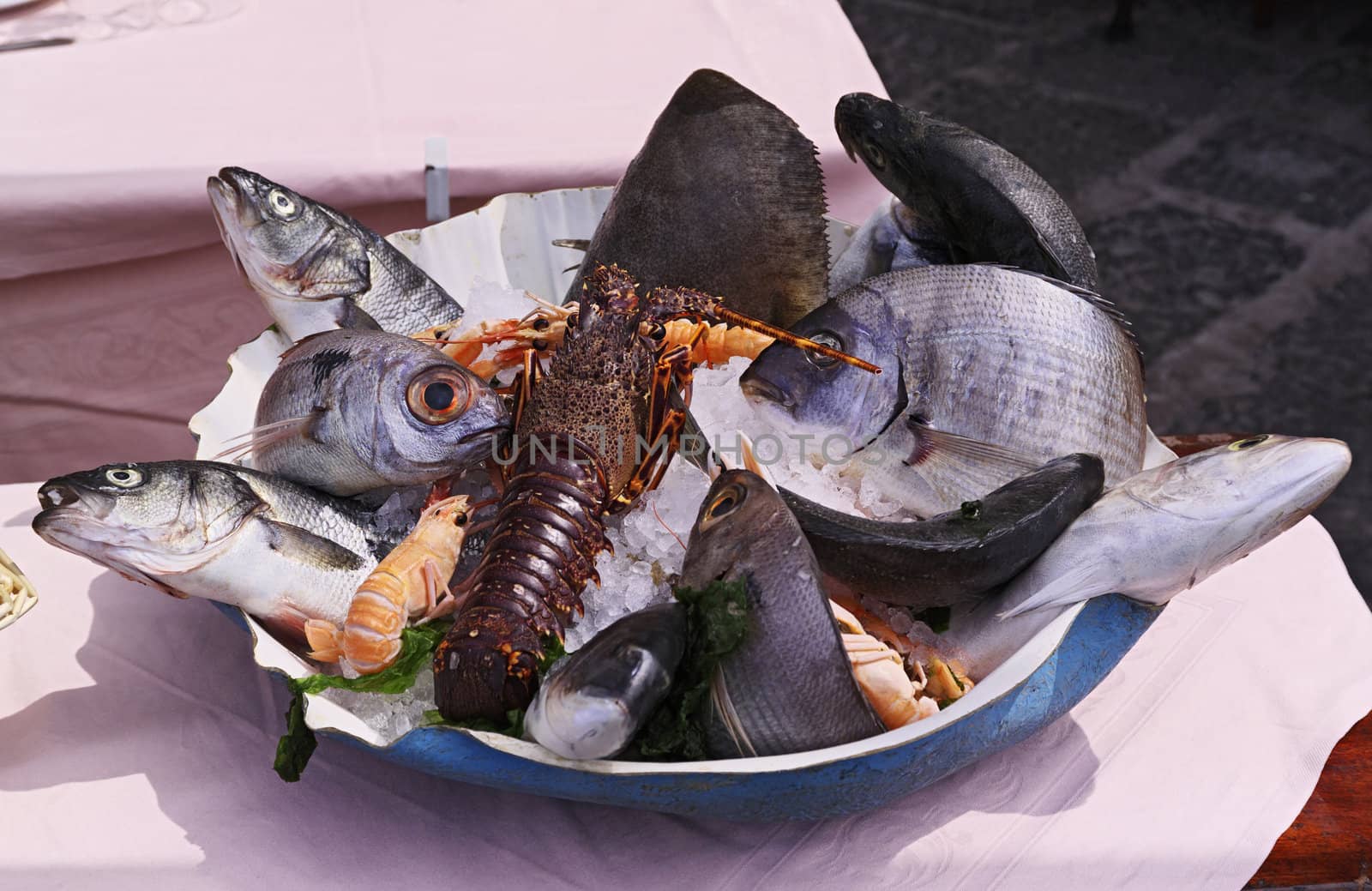 ITALY, Campania, Ischia island, Ischia Porto, mediterranean fresh fish exposed outside a restaurant