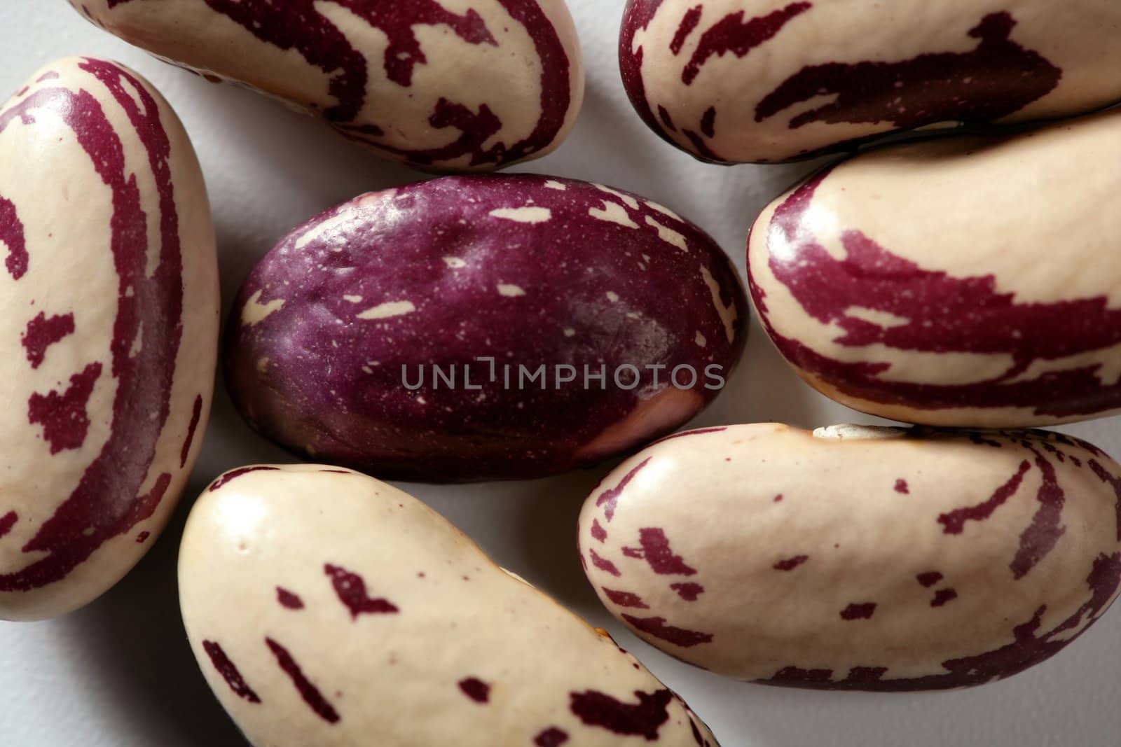 Dried beans macro at studio white background