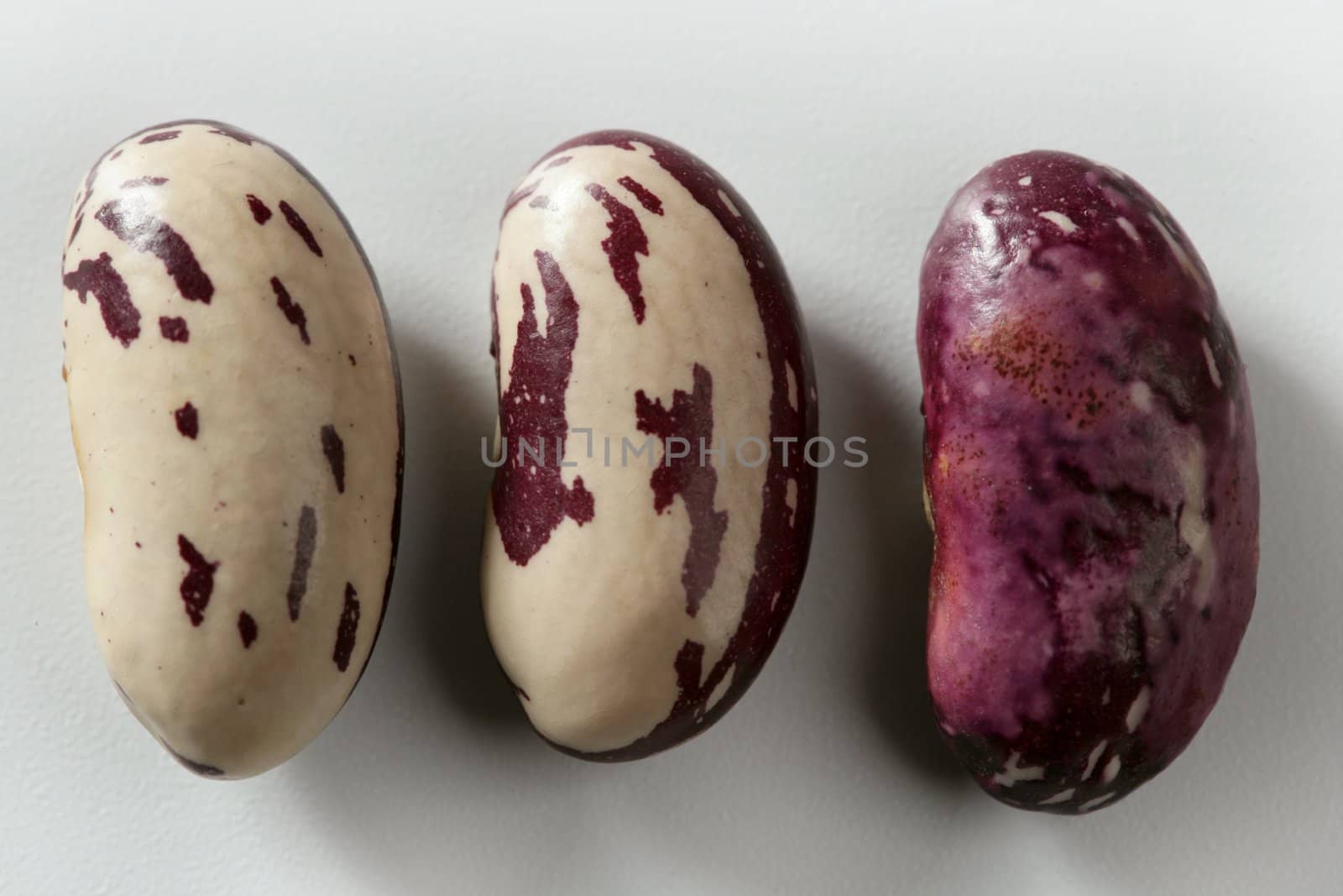 Beans macro at studio white background by lunamarina