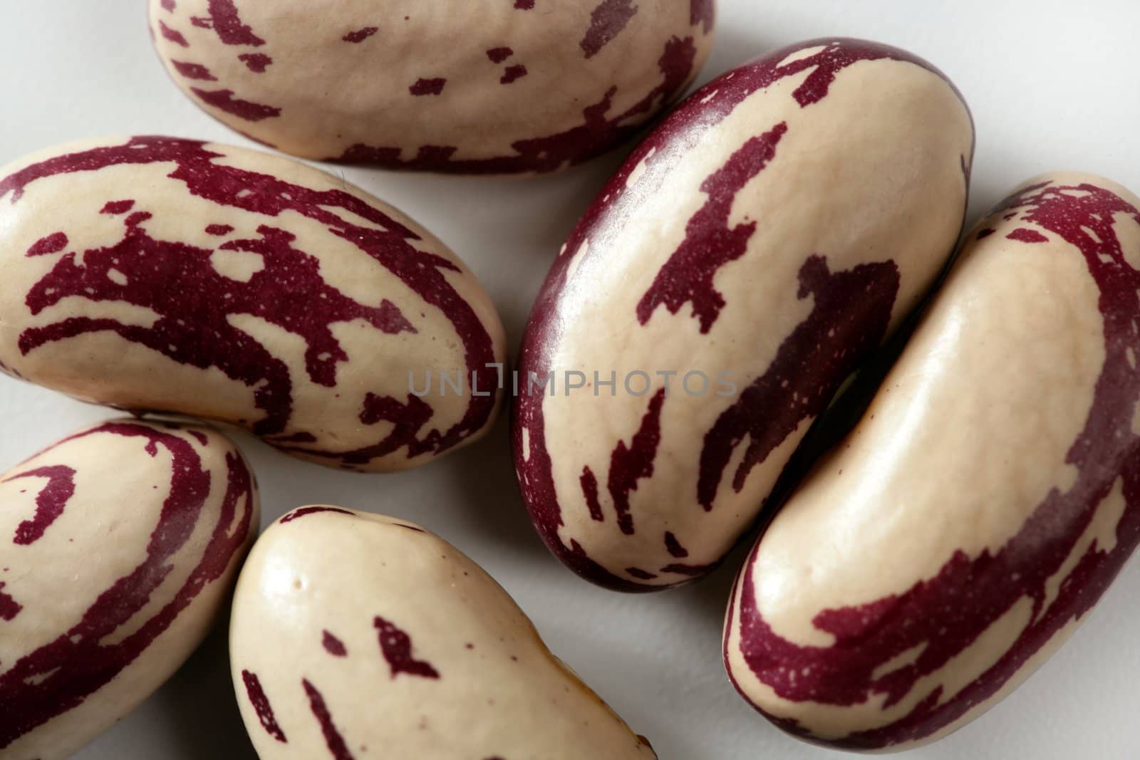 Dried beans macro at studio white background