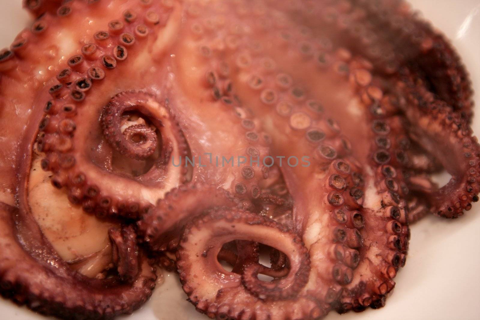 Steam coming from recent cooked octopus by lunamarina