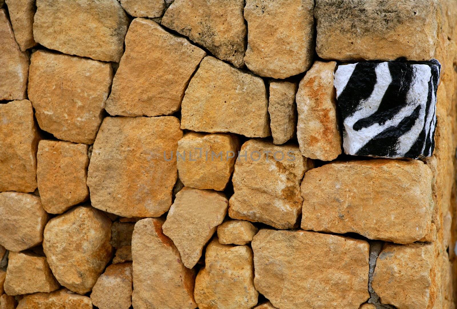 Unique, alone, only one zebra texture painted stone over masonry wall