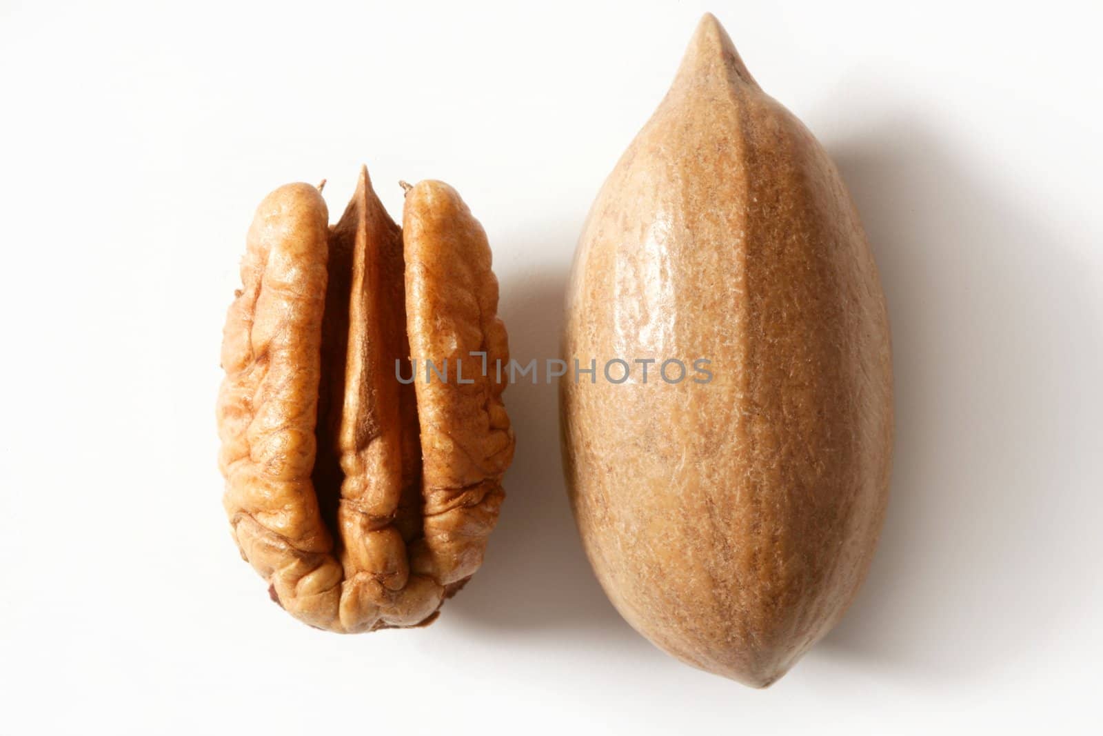 Pecan nut fruit and shell over white by lunamarina