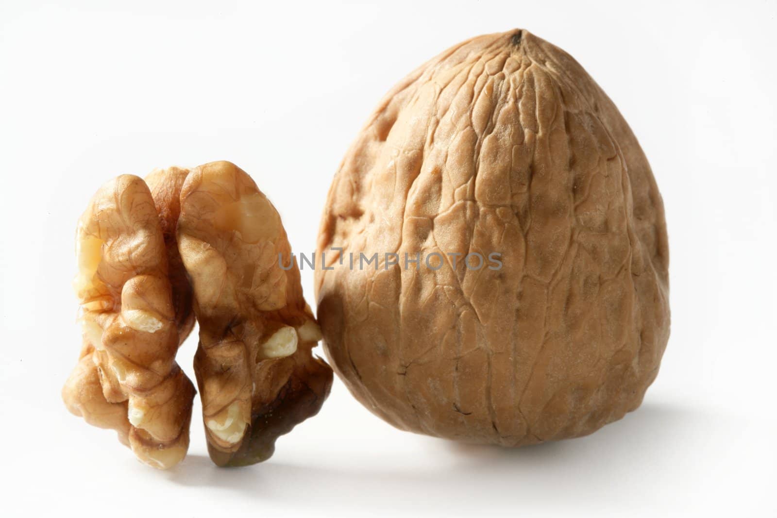 Walnut and shell isolated macro over white background