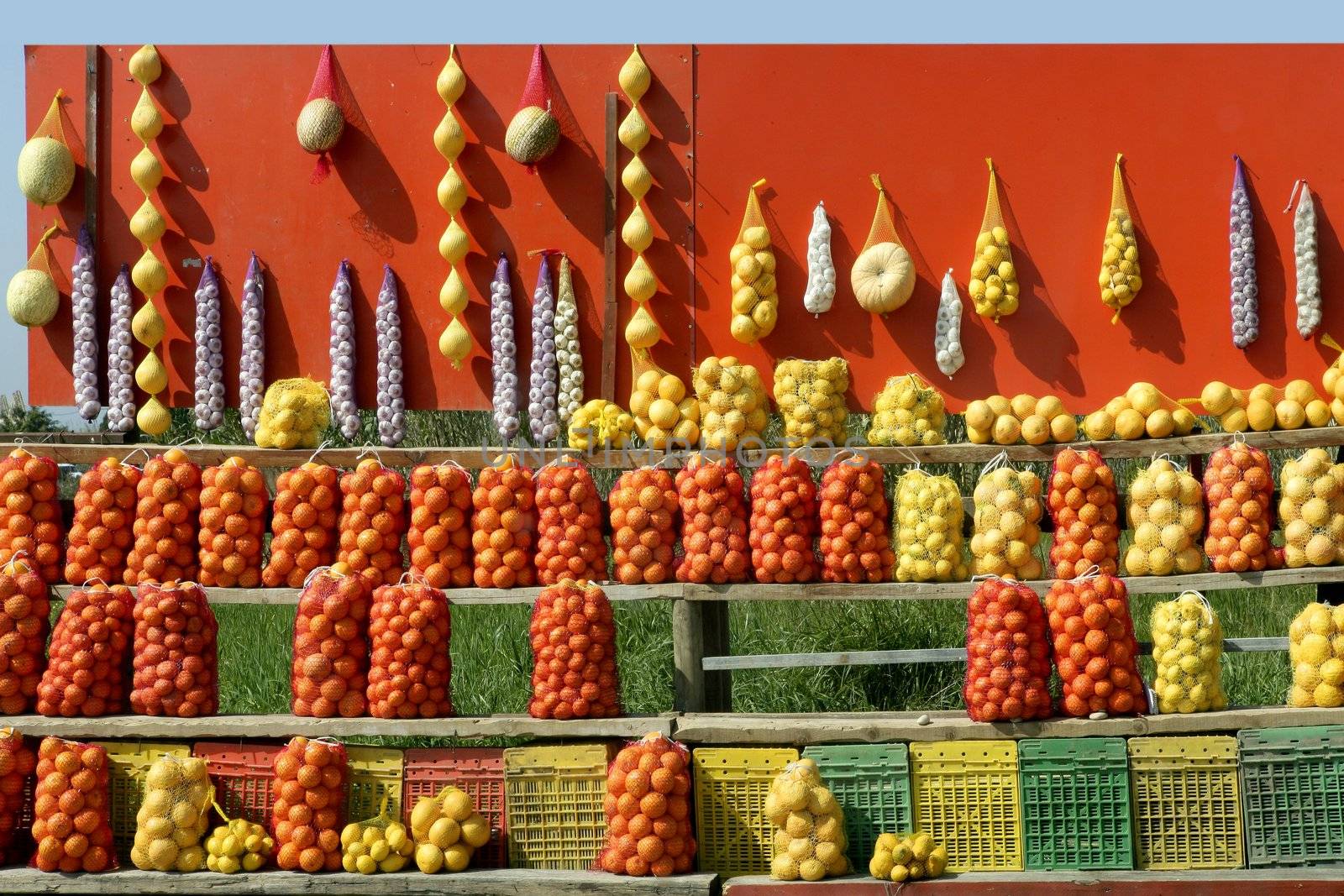 Oranges, pumpkin, lemons, garlic, over vivid wall, spanish fruit market