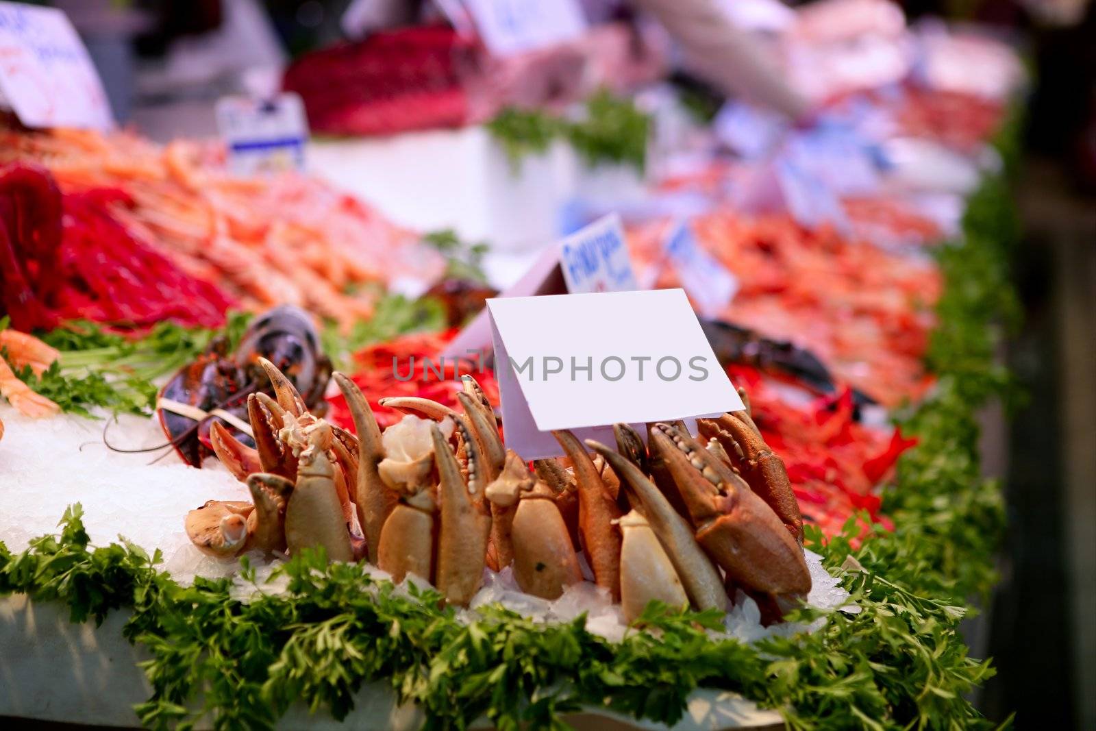 Fish market in Spain with seafood, ice and parsley