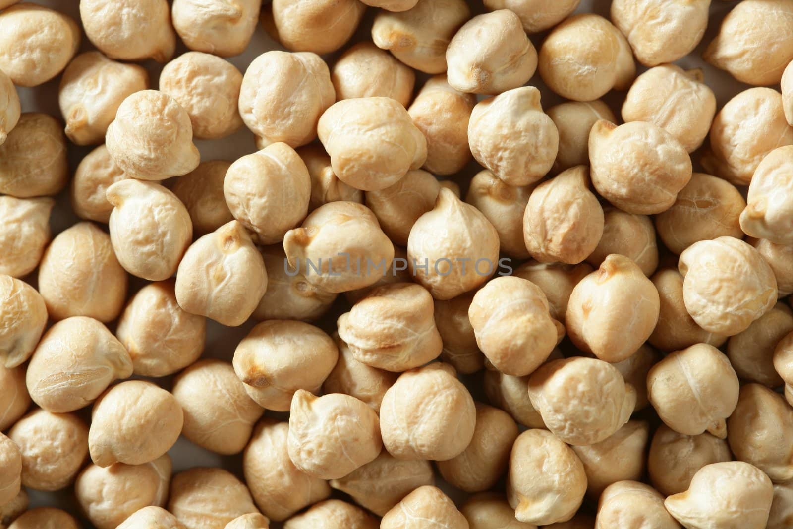 Chickpeas texture background at studio as a food pattern