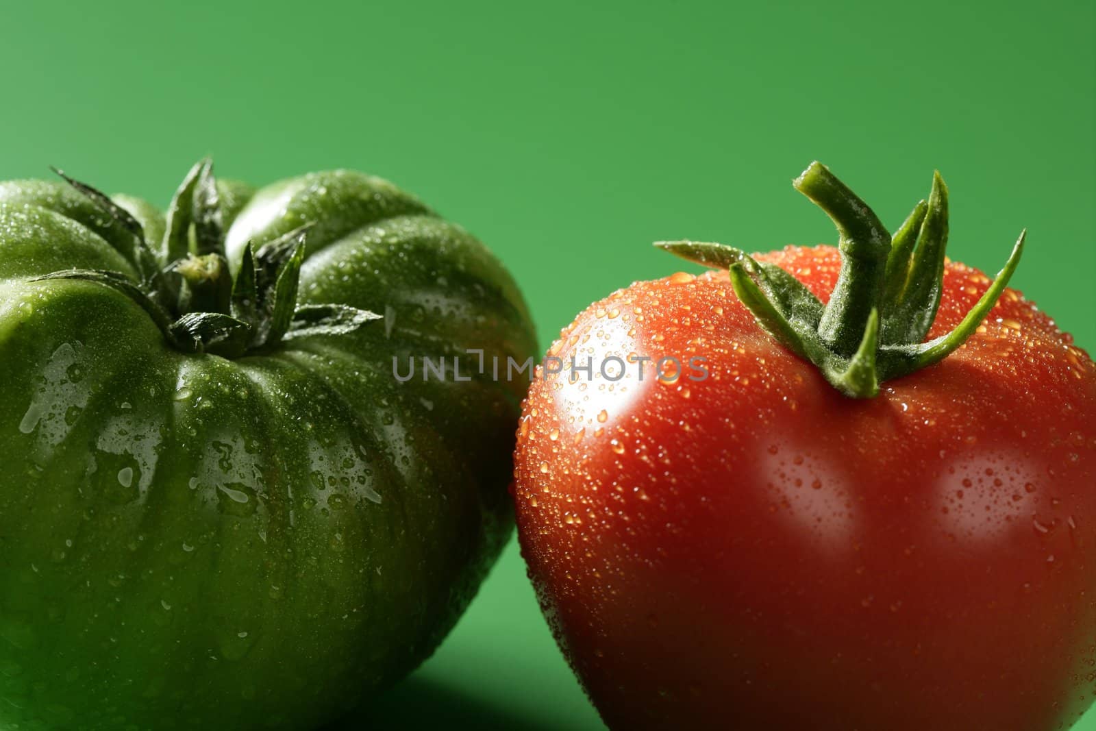 Two color tomatoes, green and red variety, studio shot