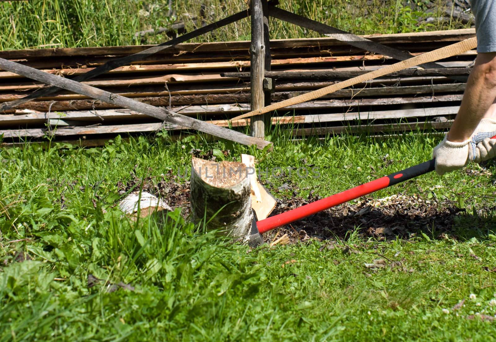 Axe with the red handle, splitting a birch log.