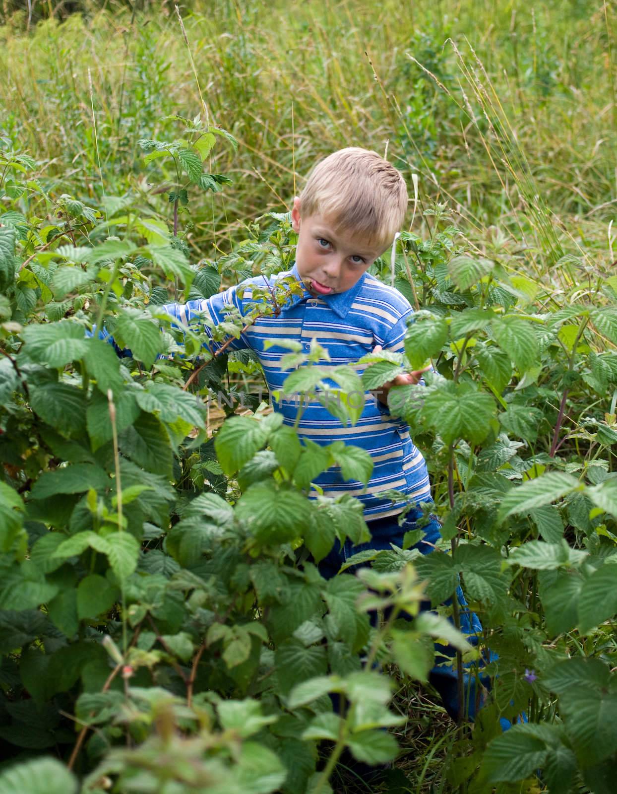 The little boy grimaces in crimson bushes.