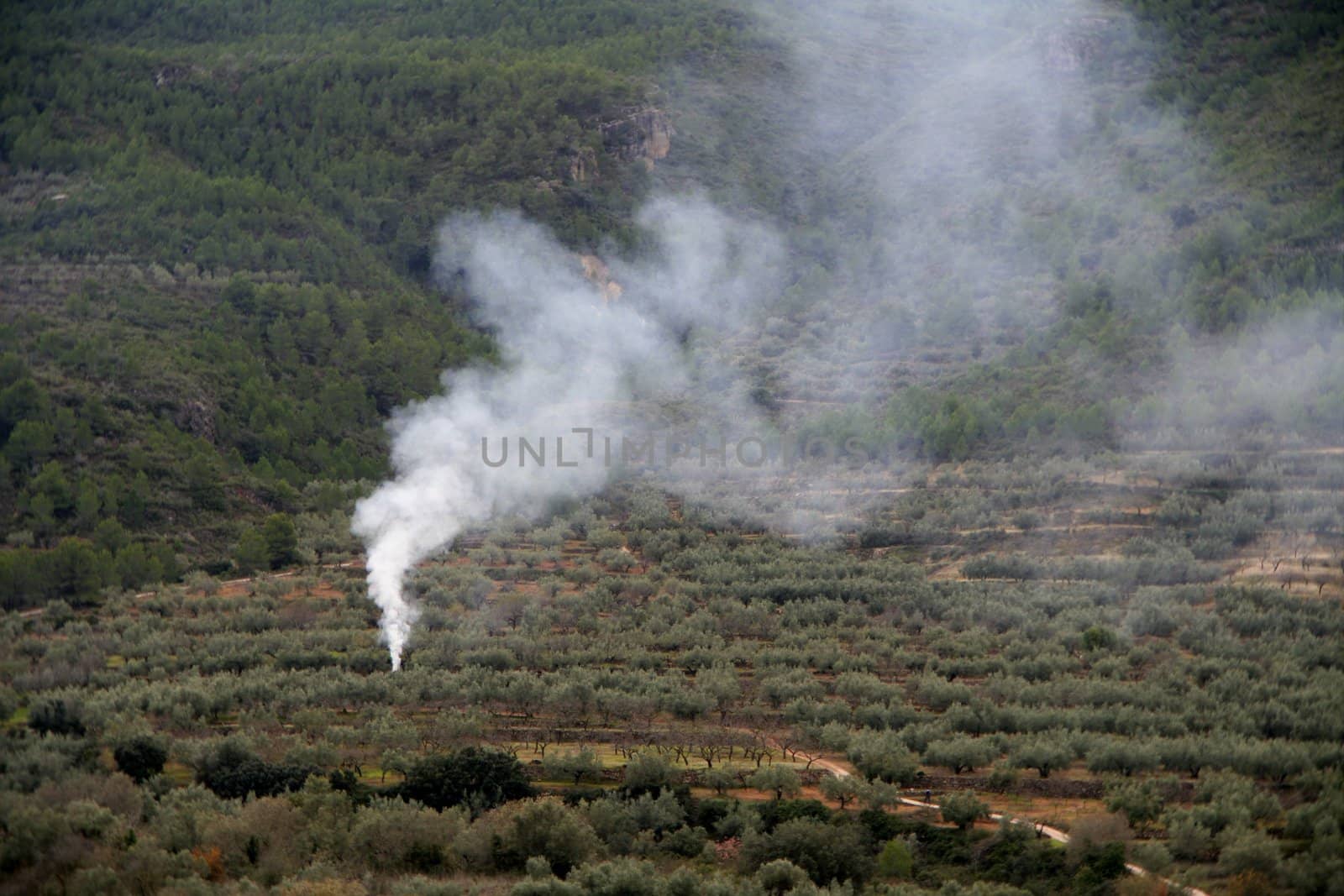 Begining of a fire, smoke in the fields of Spain