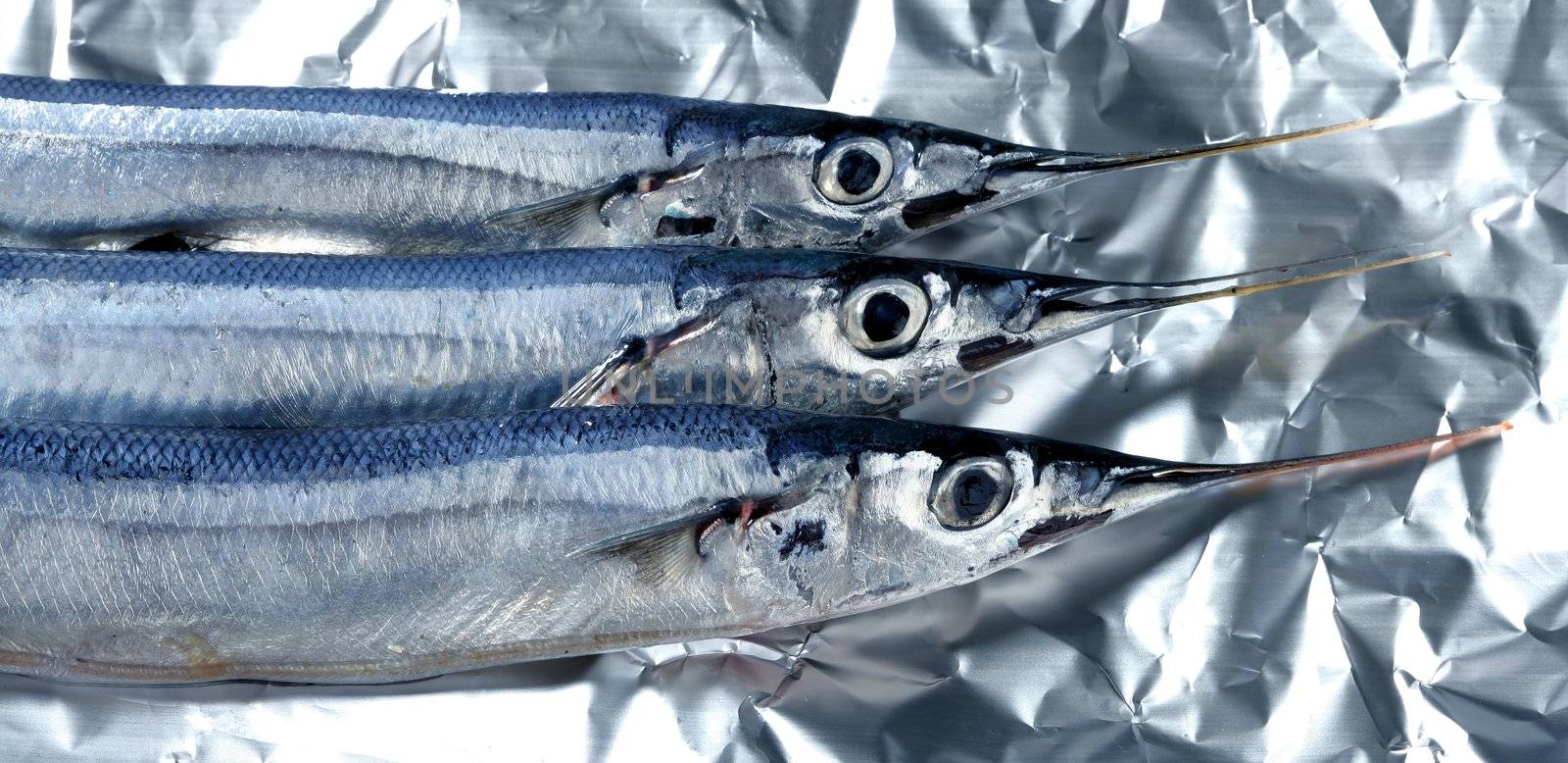 three little needle fish, uncooked macro studio shot